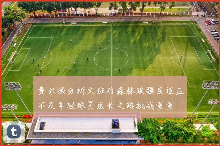 费尔顿分析文班对森林狼强度适应不足年轻球员成长之路挑战重重