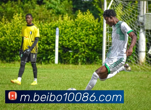 贝博体育服务体系