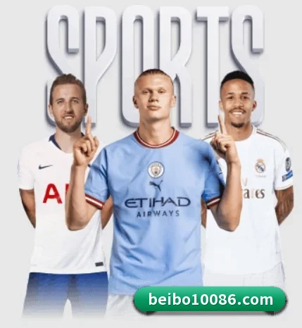 五大服务分区,信息按项目分类 - 多运动项目内容板块（BB-SPORTS）